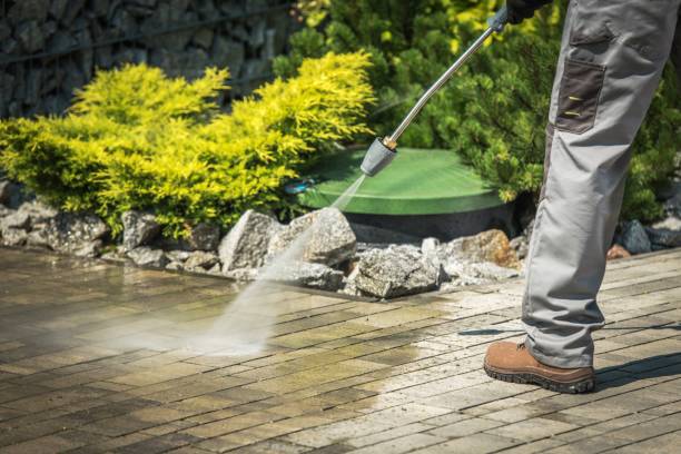 Animal Enclosure Cleaning in Saraland, AL